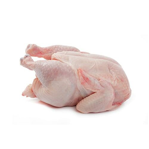 Ayam Potong