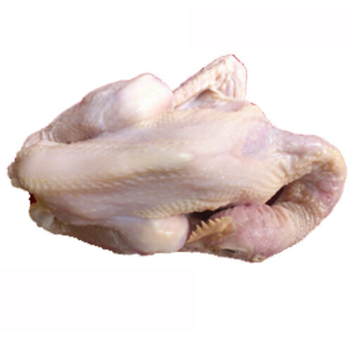 Ayam Pejantan